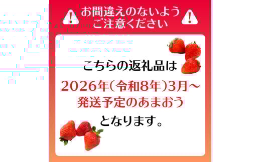 【2025年3月配送開始】福岡・博多名物ブランドいちご「あまおう」 DX（デラックス）4パック 合計約1,080g＜配送不可：北海道・沖縄・離島＞