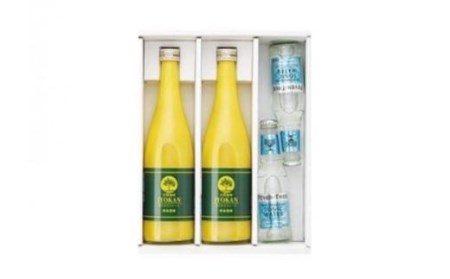 自然栽培】宮内伊予柑 皮ごとストレート720ml2本・トニックウォーター200ml2本セット 果汁100％ ジュース 愛媛県産 ノンアルコール【IZ010_x】