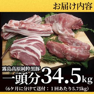 P-302 【定期便：6ヶ月毎月送付】霧島高原純粋黒豚(1頭分34.5㎏) 【霧島高原ロイヤルポーク】