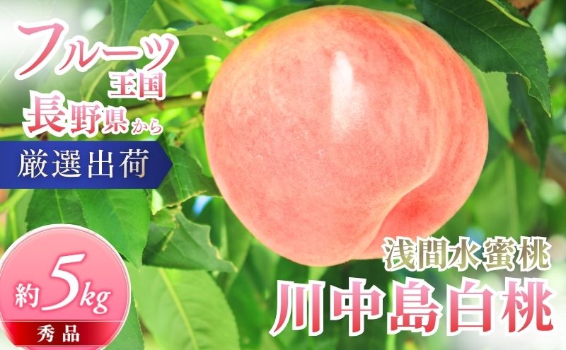 桃 先行予約 浅間水蜜桃 川中島白桃 約5kg 秀品 フルーツ 果物 白桃 甘い 冷蔵
