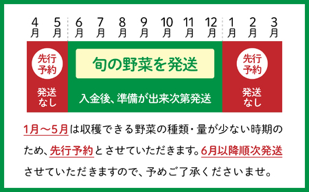 野菜 詰め合わせ セット (10種類前後) おまかせ お試し 旬の野菜 ｜ 野菜セット SDGs 5000円 ５０００円以下 採れたて 新鮮 BBQ バーベキュー アウトドア キャンプ 旬 グルメ 農