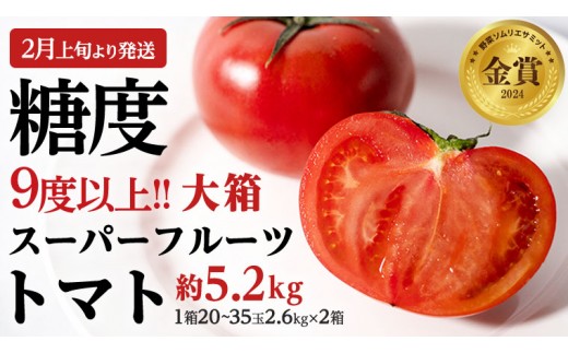 
                  《 2027年 収穫分 》4～5月配送 スーパーフルーツトマト 大箱 約2.6kg × 2箱  (20～35玉/1箱) 糖度9度以上 先行予約 茨城県 桜川市 KEK 国産 トマト フルーツトマト ブランドトマト 野菜 ギフト 贈答 青空レストラン アド街ック天国 グッドモーニング 黄金のワンスプーン 昼めし旅 [BC009sa0405]
                