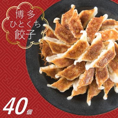 ふるさと納税 新宮町 福岡・博多の味『博多一口餃子』40個入(40個入×1P).ZF222