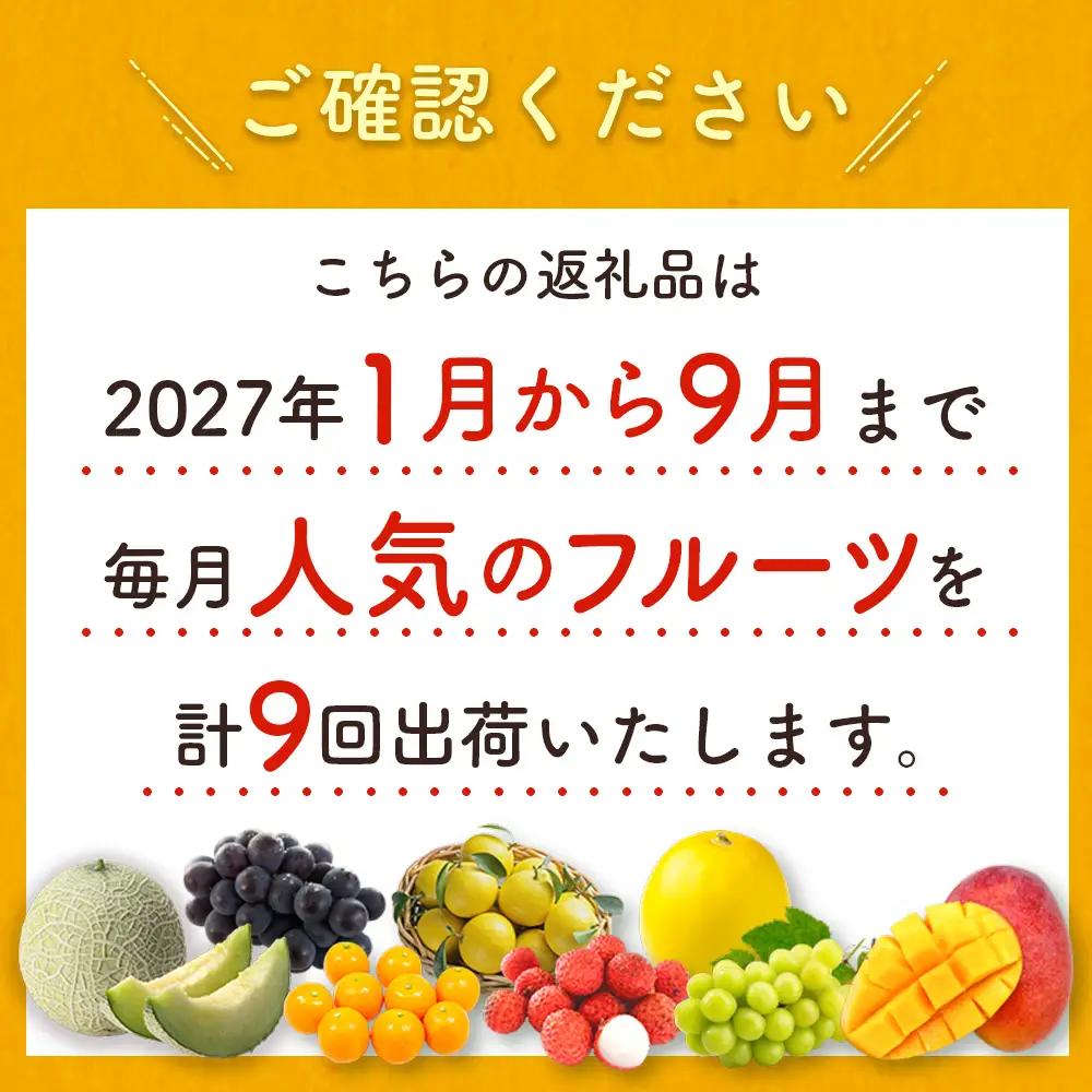 2027年出荷 新富町 特産フルーツ 詰め合わせ 定期便 9か月コース くだもの マンゴー ライチ メロン シャインマスカット ぶどう 柑橘 国産 F151-27