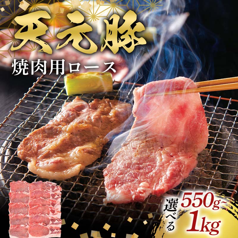 【ふるさと納税】 《選べる容量》天元豚焼肉用ロース550g～1kg（500g×2） F2Y-6587var