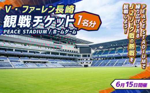 【6月15日開催】V・ファーレン長崎 PEACEスタジアム （ホームゲーム） 観戦チケット 1名分 V-VAREN J2リーグ サッカー チケット