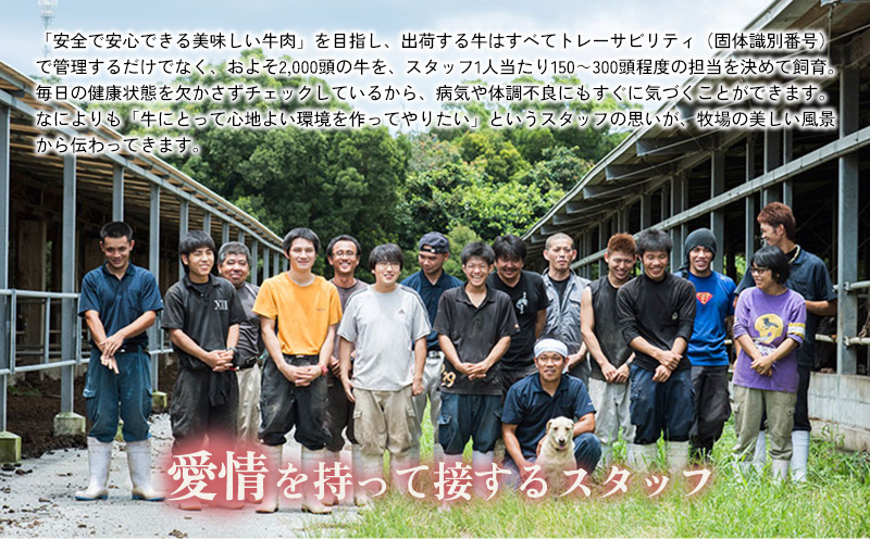 もとぶ牛ロースステーキ(自宅用)400g 県産和牛 黒毛和牛 国産 牛肉 ステーキ肉 牛 ブランド 和牛 人気 オススメ おすすめ グルメ 贅沢 200g 3等級以上 贈答用 美ら海 冷凍 沖縄 本部