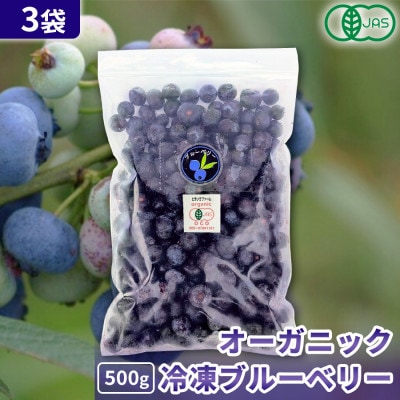 【北海道十勝産 希少品種】冷凍ブルーベリー500g×3袋【配送不可地域：離島】【1677072】