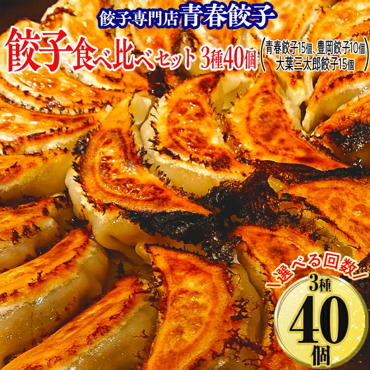 【ふるさと納税】＼選べる配送回数／餃子専門店青春餃子 餃子食べ比べセット 3種40個 年末年始 お中元 お歳暮 内祝い 快気祝い