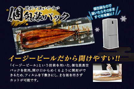 ＜2025年10月お届け＞うなぎ 鰻楽 国産 蒲焼 ご家庭用 2尾 計240g以上（120g×2尾）おすすめ 冷凍 簡単調理 個包装 鰻 魚介【B666-2510】