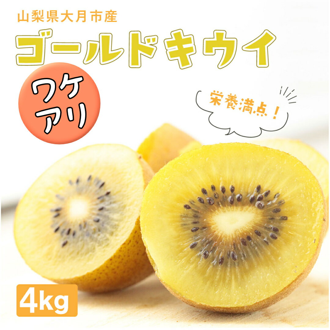 【ふるさと納税】【先行予約】訳あり／ご家庭用 国産ゴールドキウイ(小玉) 4kg　2026年10月中旬より順次発送