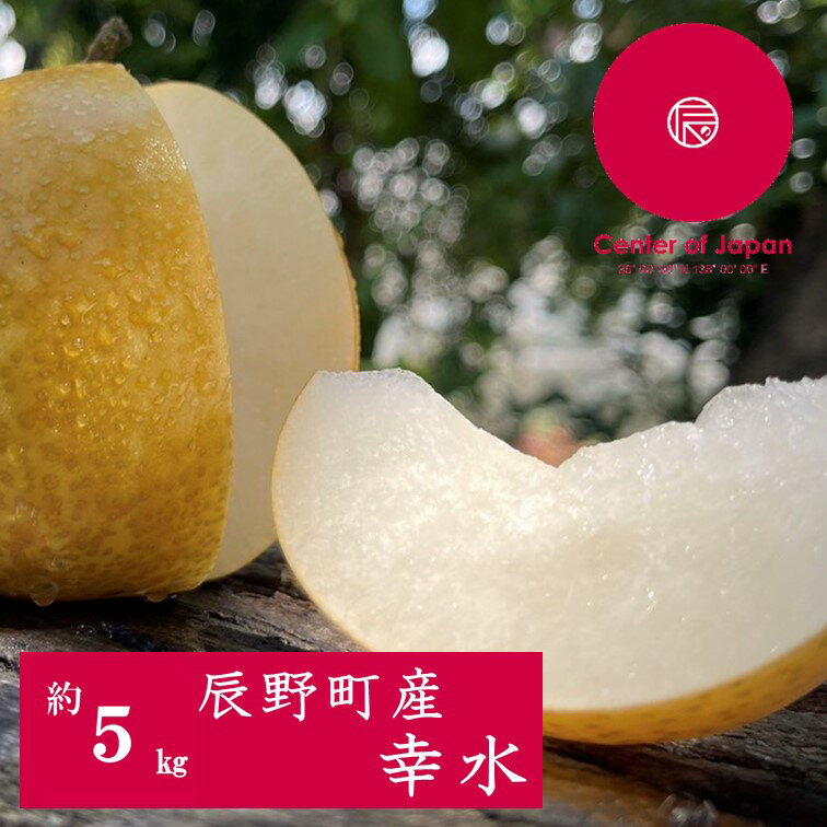 【ふるさと納税】227 先行予約 梨 幸水 5キロ 【野澤フルーツ農園】
