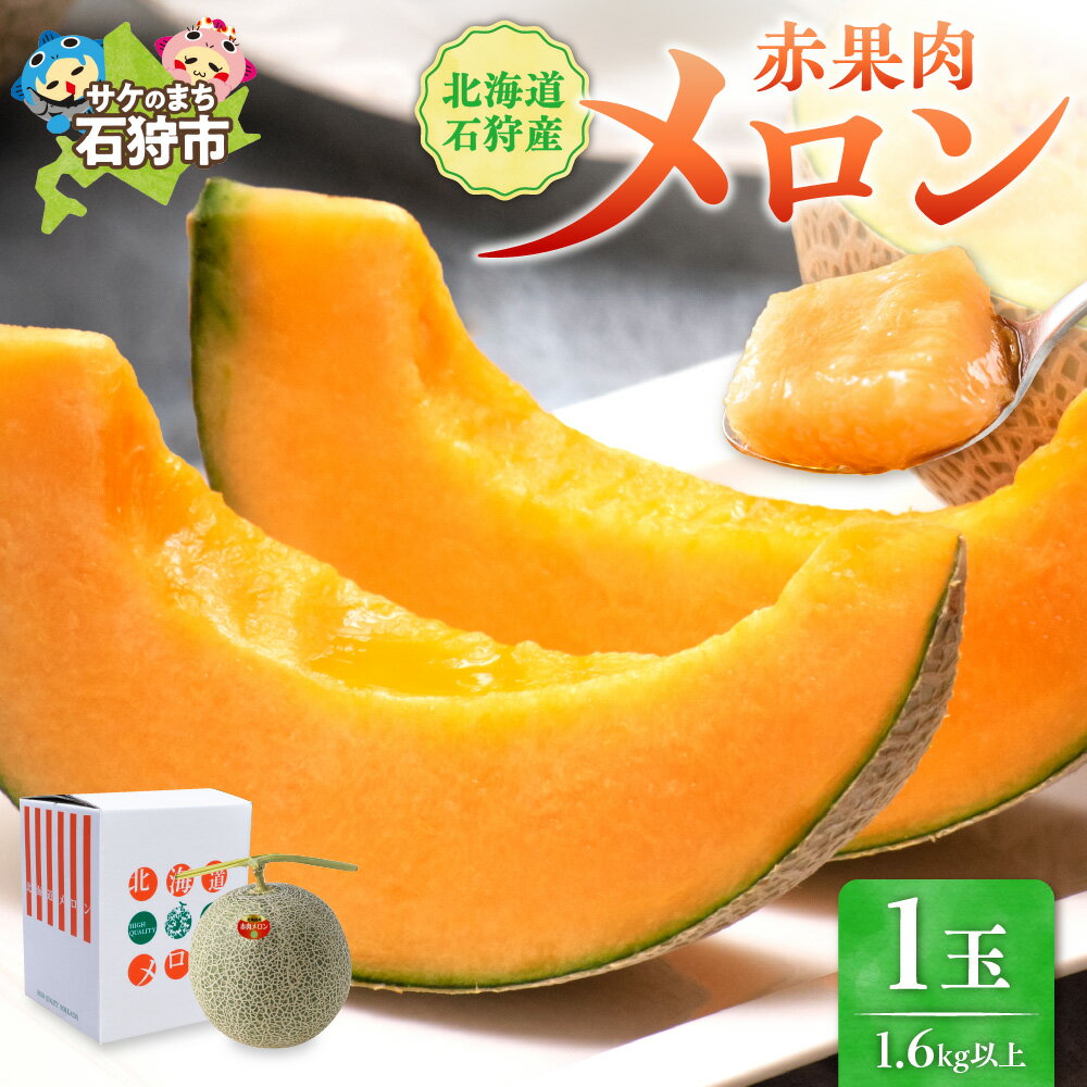 【ふるさと納税】 北海道 石狩産 赤果肉 メロン 1玉 計1.6kg以上 【7月中旬 発送】 赤肉メロン 北海道メロン フルーツ 1個 果物 石狩市 御中元 暑中御見舞 旬のフルーツギフト対応 （のし対応）