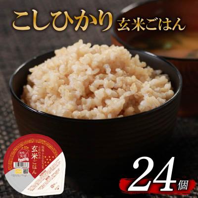 ふるさと納税 松原市 米匠庵 こだわりの玄米ご飯 120g×24個 コシヒカリ使用 無菌パック 常温保存 大阪府松原市