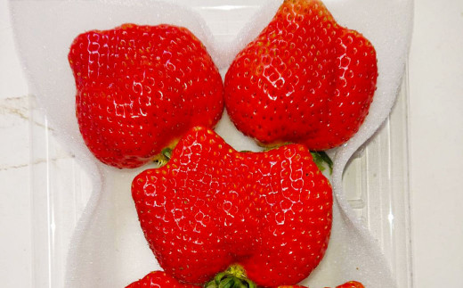 大粒あまおう 4パック 計約1000～1080g あまおう いちご イチゴ 苺 果物 くだもの フルーツ【2027年2月上旬～4月下旬発送予定】