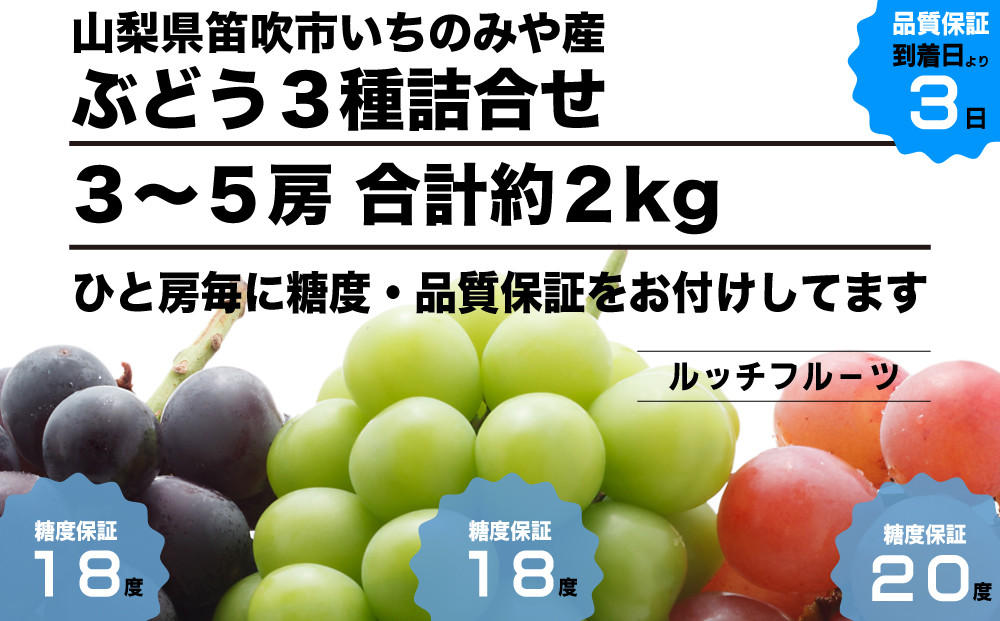 
            【全房糖度保証付】ぶどう3種詰合せ 合計約2kg(シャインマスカット・クイーンニーナ・黒系ブドウ)【2025年発送】＜数量限定＞旬の美味しいフルーツだけをお届け！【ルッチ Rucci】産地直送 山梨県 笛吹市 果物 葡萄 ぶどう 黒ブドウ 赤ブドウ 黒系 赤系 贈答 人気 ギフト ランキング リピート 高評価 ギフト 贈答 贈り物 化粧箱 2025年 令和7年 先行予約 期間限定 104-052
          