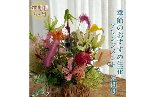 
《定期便6ヵ月》おすすめ生花アレンジメントL【らんまん 花 植物 お花 アレンジメント 高知 人気 おすすめ 送料無料】
