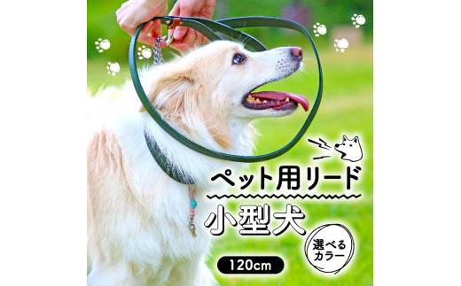 ペット用 リード 小型犬用 オレンジ 120cm 本革 ペット 犬 愛犬 ワンちゃん 小型犬 首輪 リード 本革 レザー 牛革 牛 散歩 さんぽ ウォーキング 健康 おしゃれ 消耗品 大阪府 松原市