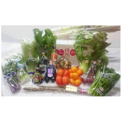 ふるさと納税 奈良県 大和情熱野菜　玉手箱