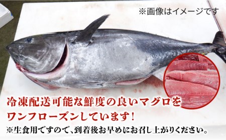 長崎県五島産 近大マグロ （中トロ）刺身ブロック 五島市/五島ヤマフ[PAK018] 