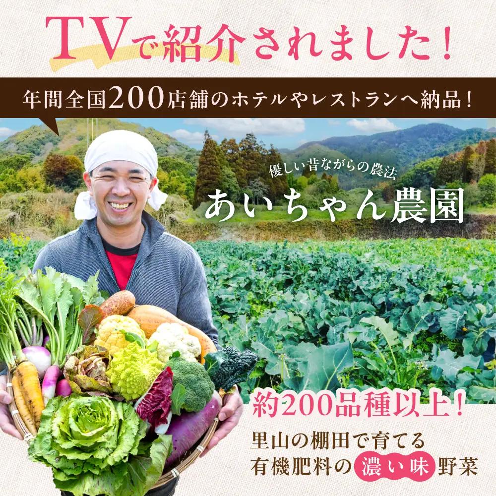 【6品 / 24回定期便】農薬に頼らない！カラダにやさしい「イタリア野菜」セット（ショート）吉野ヶ里あいちゃん農園 野菜 やさい[FAA015]