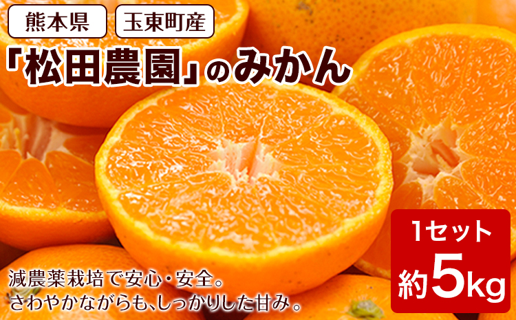 ジューシーで甘い♪『松田農園』のみかんたっぷり約5kg (S-2Lサイズ) 《11月上旬-1月下旬頃出荷》 予約受付中 フルーツ 秋 旬 熊本県 玉名郡玉東町『松田農園』手間暇かけたこだわりのミカンst-p