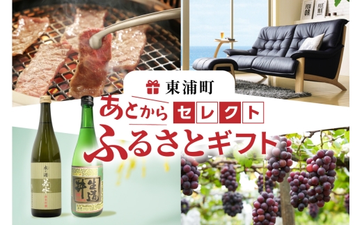 あとからセレクト【東浦町ふるさとギフト】300万円分