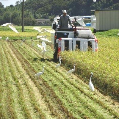 ふるさと納税 美浦村 【6年産】野口勘右衛門のお米「玄米食最適米(ミルキークイーン)」玄米10kg |  | 02