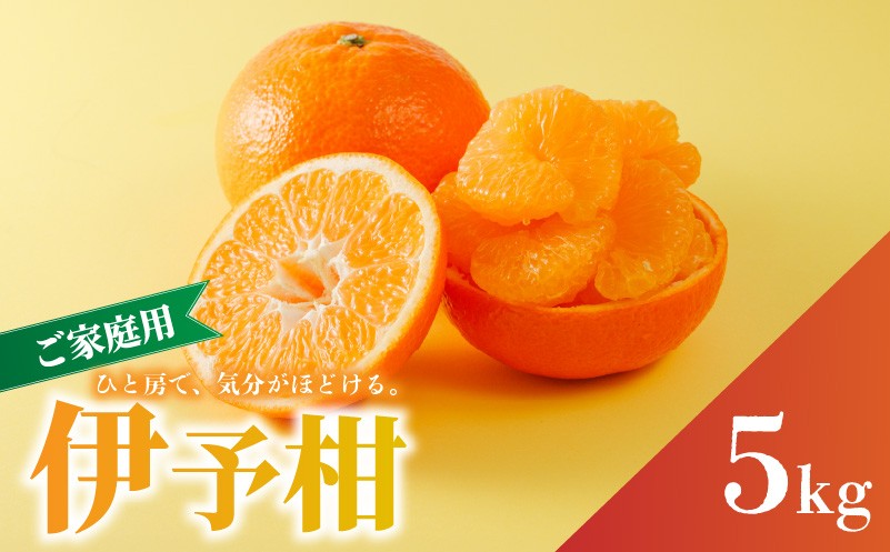 
                  家庭用 宮内伊予柑 5kg サイズ混合 【2027年1月下旬から順次発送】 | 訳あり 柑橘 みかん 果物 くだもの フルーツ おすすめ  人気 お取り寄せ グルメ ギフト 期間限定 数量限定 ご当地 愛媛県 松山市
                