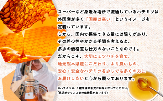純粋ハチミツ山野蜜　AN05