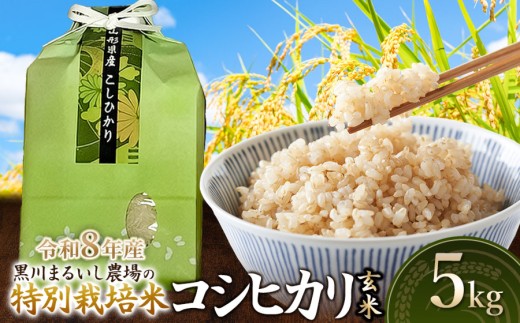 【令和8年産 新米】 黒川まるいし農場の特別栽培米 コシヒカリ 玄米 5kg　山形県鶴岡市産　K-834　| こしひかり 米どころ 庄内米 ブランド米 米 コメ こめ 精米 ご飯 ごはん 美味しい お取り寄せ 農家直送 東北 国産 おすすめ 人気 返礼品 2026年産