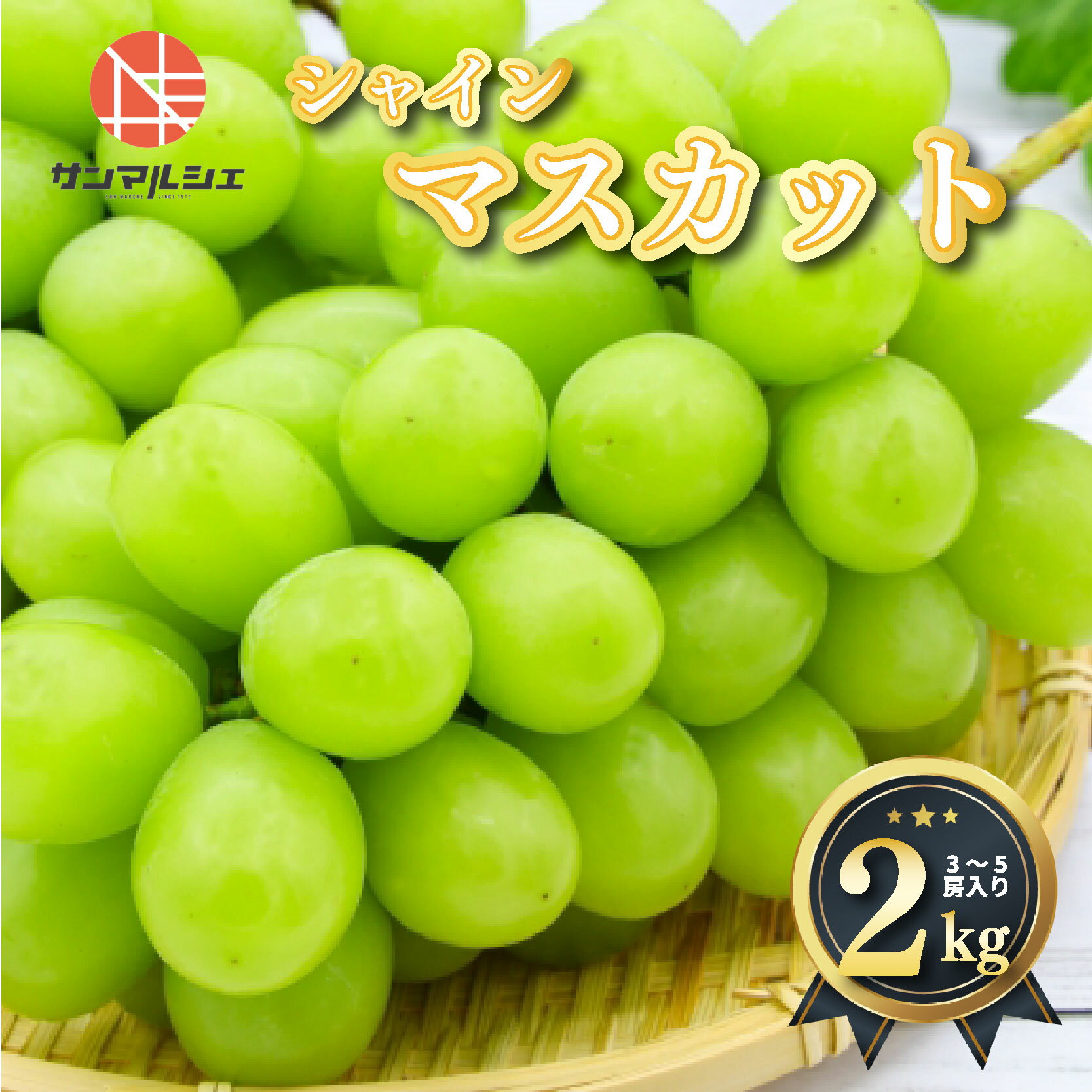 【ふるさと納税】 シャインマスカット 約2kg ( 3～5房 ) 青秀 以上 【2026年8月頃から順次発送】 | 冷蔵 ぶどう マスカット シャインマスカット ブドウ 果物 フルーツ 葡萄 愛媛県産 松山 伊台