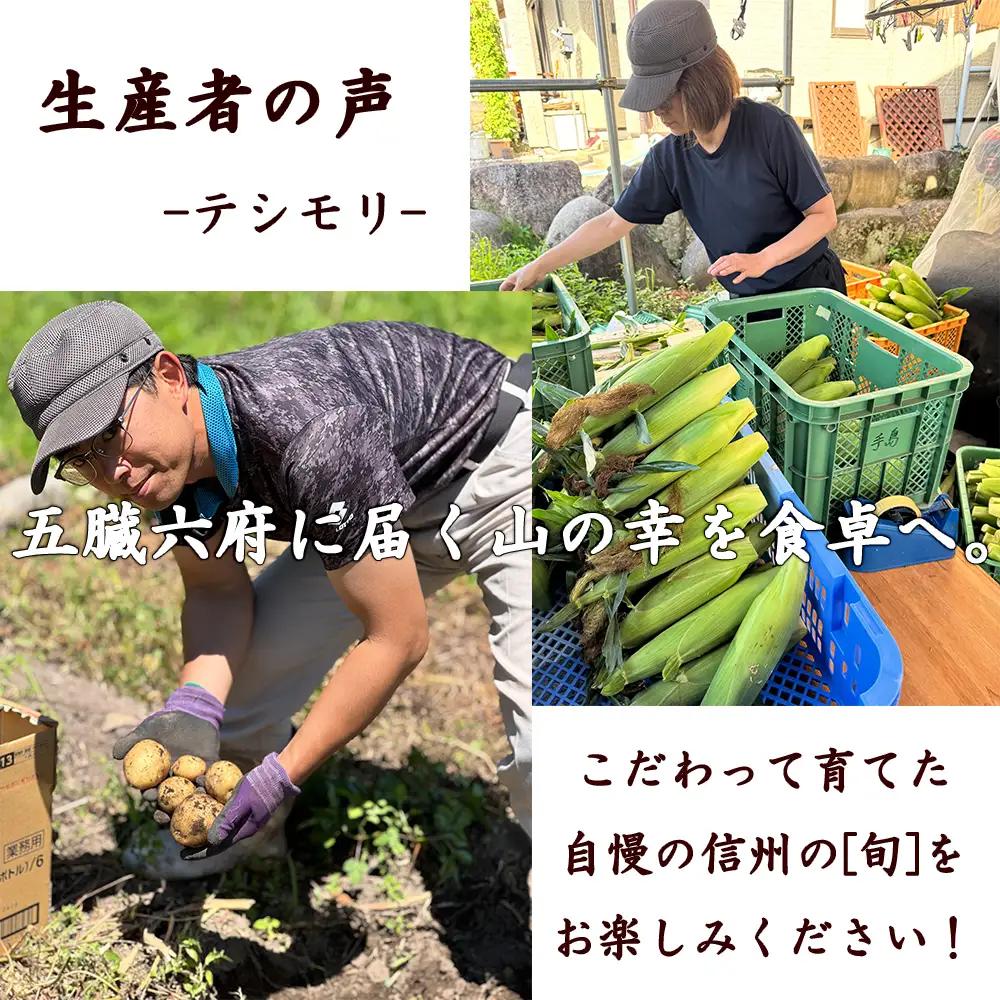 【先行予約】【期間限定】長野県長和町産　黒耀水育ちのあまいとうもろこし 人気品種「ドルチェドリーム」10本入り とうもろこし セット 冷蔵便 新鮮スイートコーン4kg 朝採れトウモロコシ