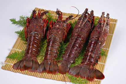 バタバタしたら角と足がとれちゃいました　活冷伊勢えび　2?4尾（600g）