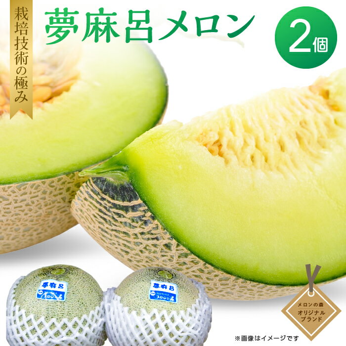 【ふるさと納税】メロン めろん 夢麻呂メロン 2玉入り ギフト 鉾田 果物 人気 おすすめ 贈答 茨城 お返し 先行予約 スイーツ 送料無料 味 茨城県 還元率 青肉 フルーツ めろん 鉾田市 デザート くだもの お取り寄せ 甘い ジューシー 期間限定 メロンの森 フォレストパーク