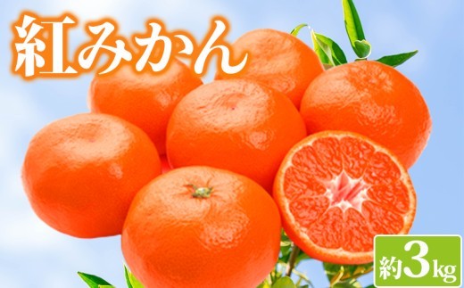 みかん 約3kg 紅みかん 小原紅早生 柑橘 ミカン 蜜柑 オレンジ 果物 くだもの フルーツ 果実 ジューシー ジュース おやつ スイーツ デザート 家庭用 12月～ 順次発送 香川県 丸亀市
