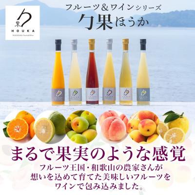 ふるさと納税 湯浅町 ワインカクテル スパークリング 勹果 ほうか 紀州うめ&赤ワイン 375ml 2本 湯浅ワイナリー |  | 02