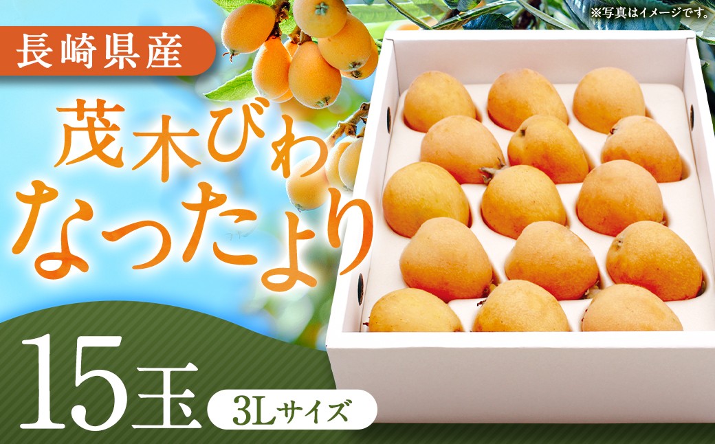 
                  先行予約 茂木 びわ 『なつたより』 3Lサイズ 15玉 入り 【2027年5月下旬-6月上旬発送予定】／ 果物 くだもの フルーツ 枇杷 ビワ 長崎県 長崎市 川口農園 アフター保証
                
