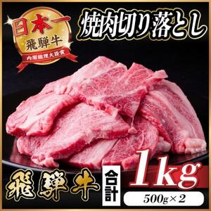 飛騨牛 焼肉 切り落とし 約1kg(約500g×2)訳あり【冷蔵便】_肉 焼肉 牛肉 やきにく ヤキニク バーベキュー_【配送不可地域：離島】【1543362】