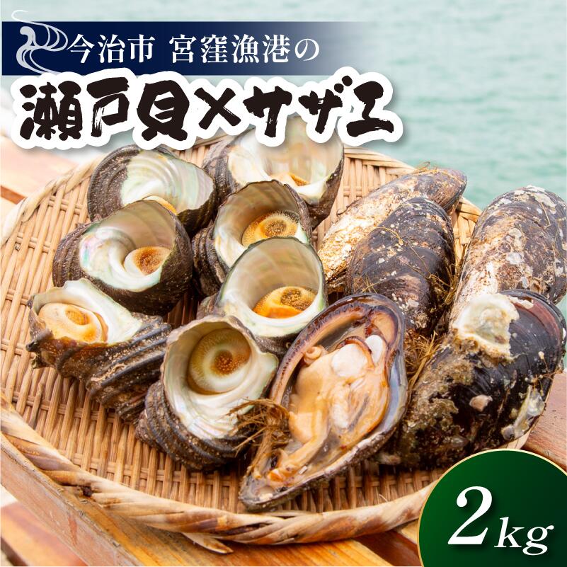【ふるさと納税】（宮窪産）幻の貝「瀬戸貝」と高級サザエ【瀬戸貝10個（約1kg）・サザエ5個（約1kg）】【V002770】【配送不可地域：離島】宮窪瀬戸 瀬戸貝 瀬戸内海 サザエ 高級 冷凍 今治市 愛媛県 国産 海産物 海鮮 魚介類 新鮮 食品 ふるさと納税