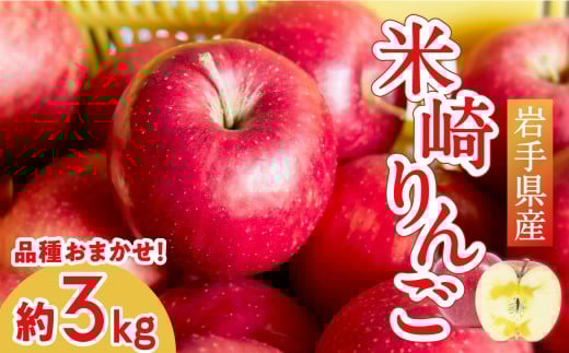 【旬のりんごをお届け！】 米崎りんご 約3kg 品種おまかせ ★大和田果樹園★ 【 数量限定 リンゴ 林檎 りんご 9月 10月 11月 12月 青林 王林 ジョナゴールド シナノスイート 等  岩手 陸前高田 産地直送 新鮮 アップル 家庭用 】RT670-OK