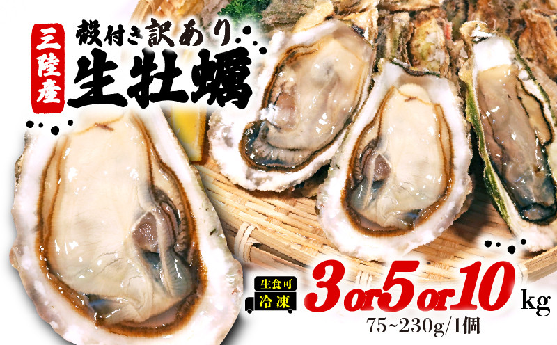 
            訳あり 牡蠣 3kg/5kg/10kg（生食可) かき カキ 冷凍 岩手県産 殻付き 生食 生食用 訳あり わけあり 大きさ不揃い 不揃い 三陸 三陸産 株式会社國洋 岩手県 大船渡市 
          