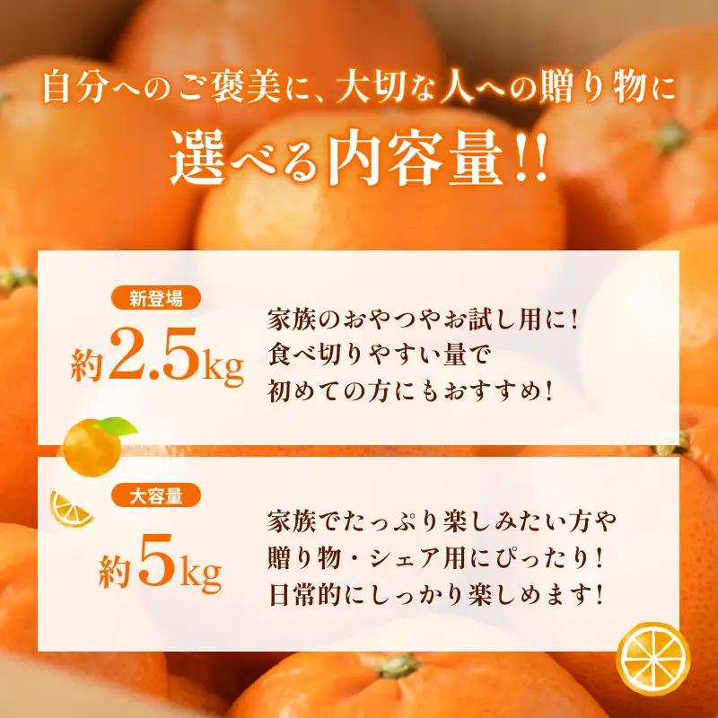 【先行予約】甘平（家庭用）レギュラー箱 約5kg 