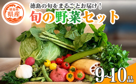 野菜セット 9～10品 野菜