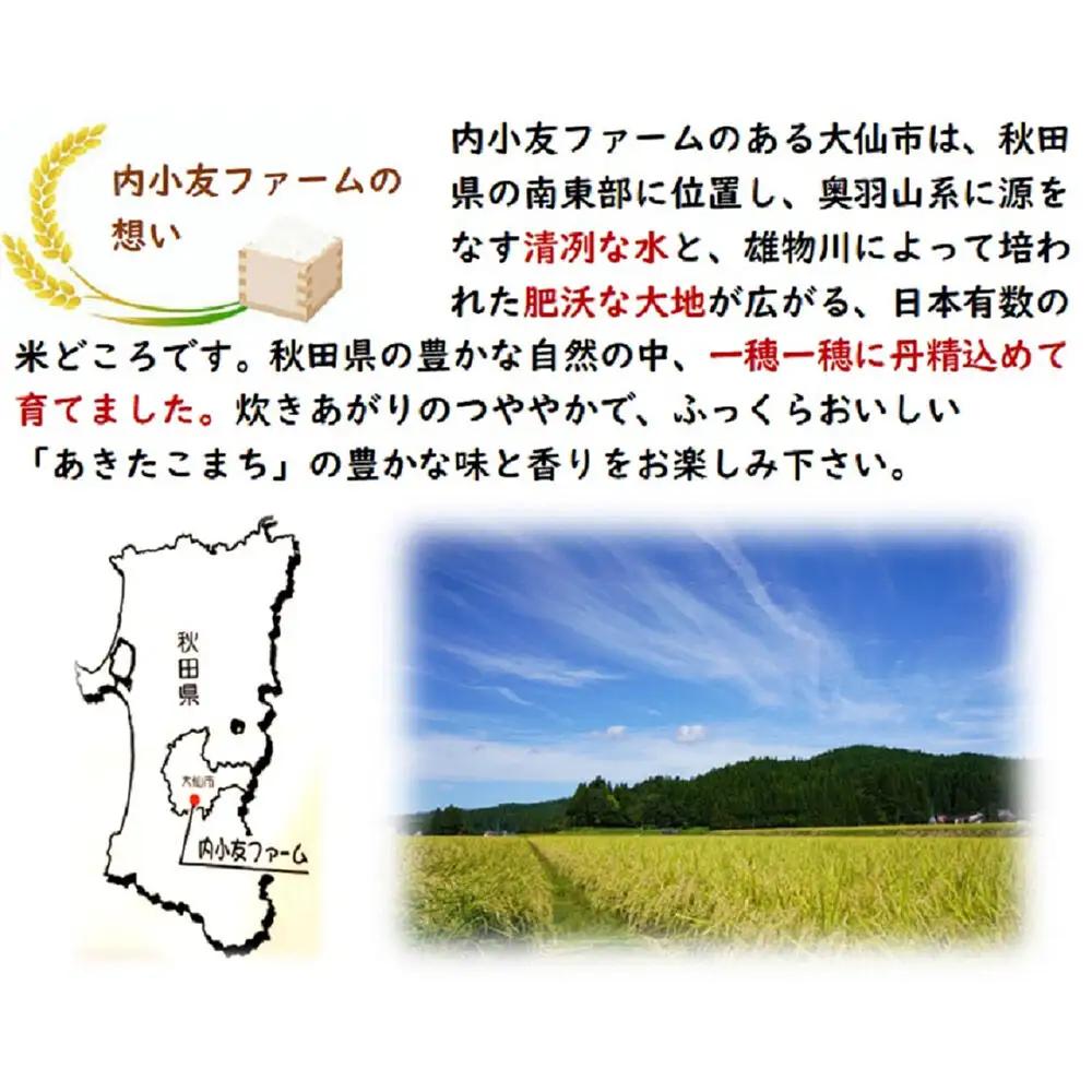 米 令和7年産 秋田県産あきたこまち 一等米 農家直送 無洗米5kg 内小友ファーム