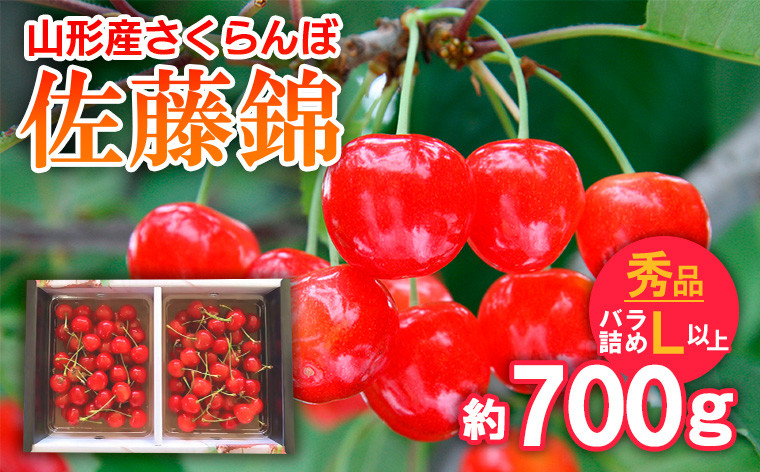 
            さくらんぼ 佐藤錦 バラ詰め L以上 約700g 【令和7年産先行予約】FS24-632 くだもの 果物 フルーツ 山形 山形県 山形市 2025年産
          