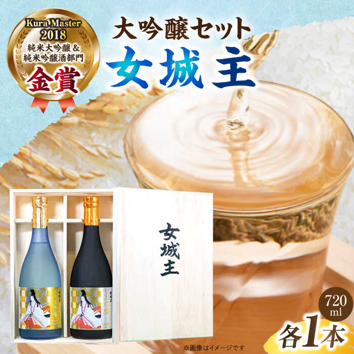 【ふるさと納税】【年内配送】【贈答用】 大吟醸セット 720ml×2 桐箱入り / 大吟醸 日本酒 女城主 地酒 銘酒 清酒 飲料 飲酒 山田錦 辛口 フルーティ フルーティー 冷酒 お取り寄せ 贈答 ギフト お祝い 桐箱 箱入り 贈り物 人気 おすすめ 岐阜県 /恵那市/岩村醸造[AUAK011]