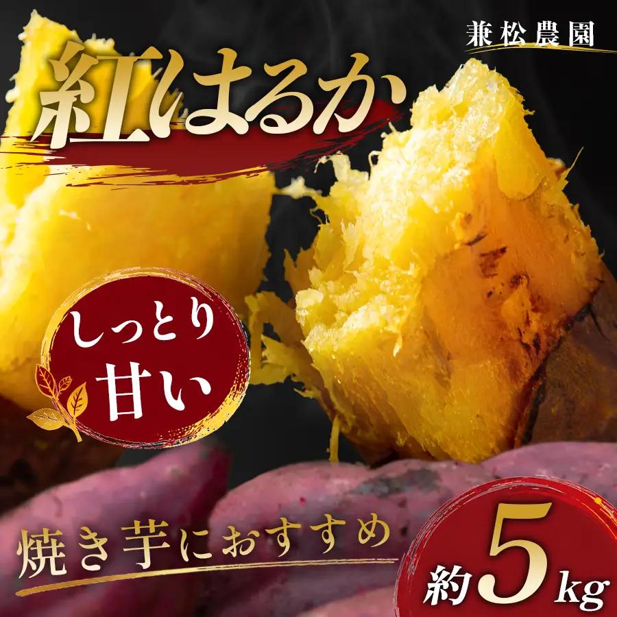 さつまいも 熟成 紅はるか 約5kg 国産 焼き芋 焼芋 やきいも しっとり 蜜芋 芋 おいも サツマイモ さつま芋 べにはるか スイーツ おやつ 産地直送 栽培期間中農薬不使用 高知県 大月町産