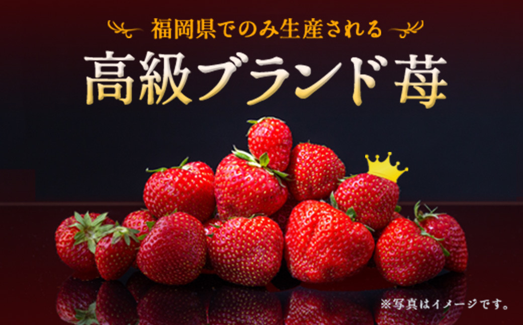  いちご「 あまおう 」＜270g×4パック＞