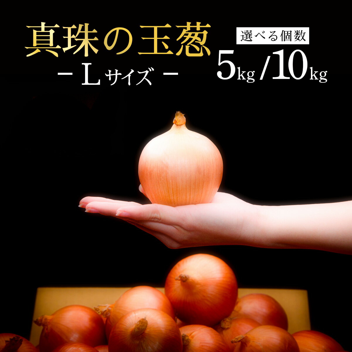 【ふるさと納税】＜選べる内容量＞真珠の玉葱 Lサイズ5kg/10kg ≪海のミネラルで育てた玉葱≫【50103】